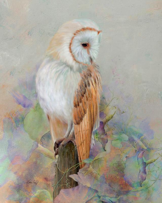 Barn Owl Morning