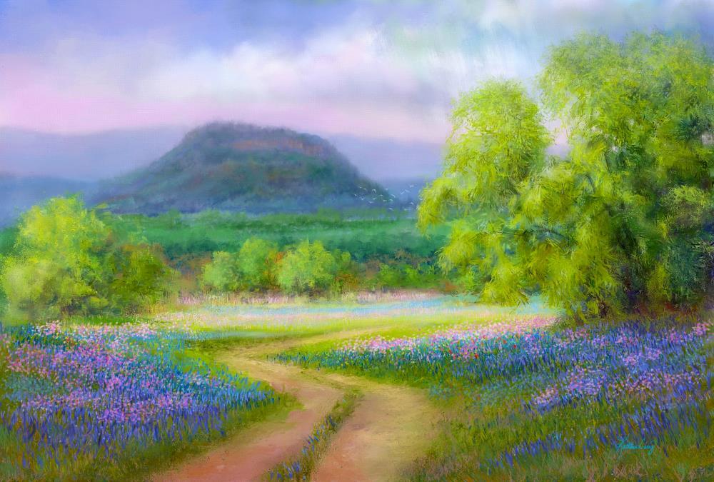 Texas Spring Bluebonnets